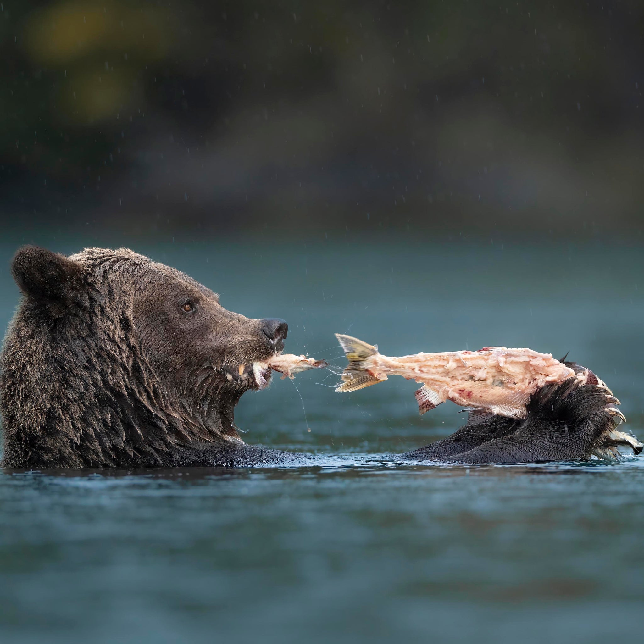 Wet Lunch