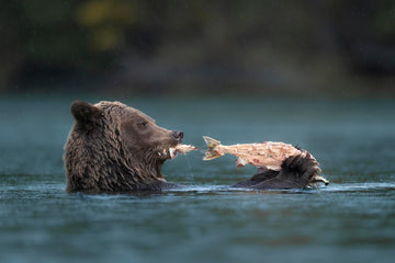 Wet Lunch