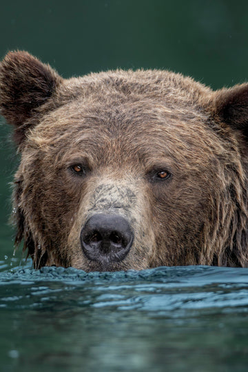 Furry Fisherman